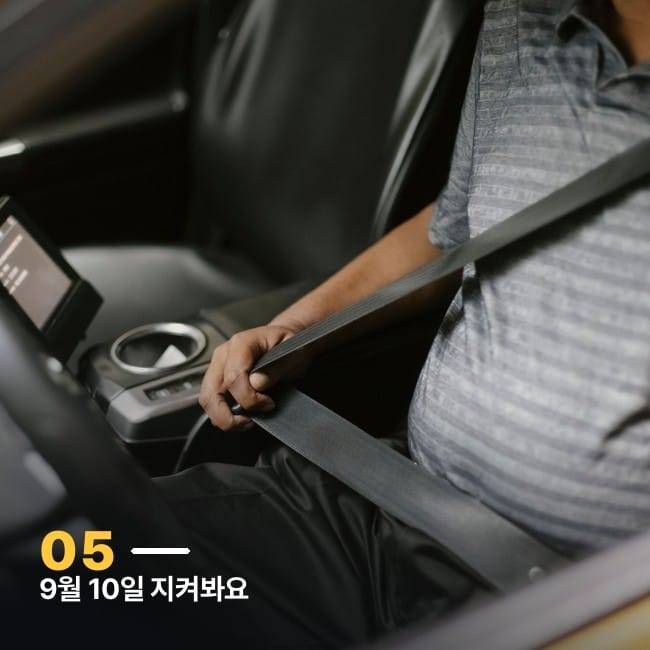 안전벨트를 매는 손