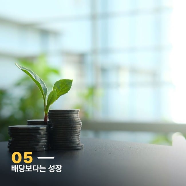 동전 더미 사이에서 자라난 새싹 사진