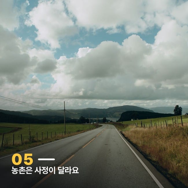 한적한 시골길 풍경