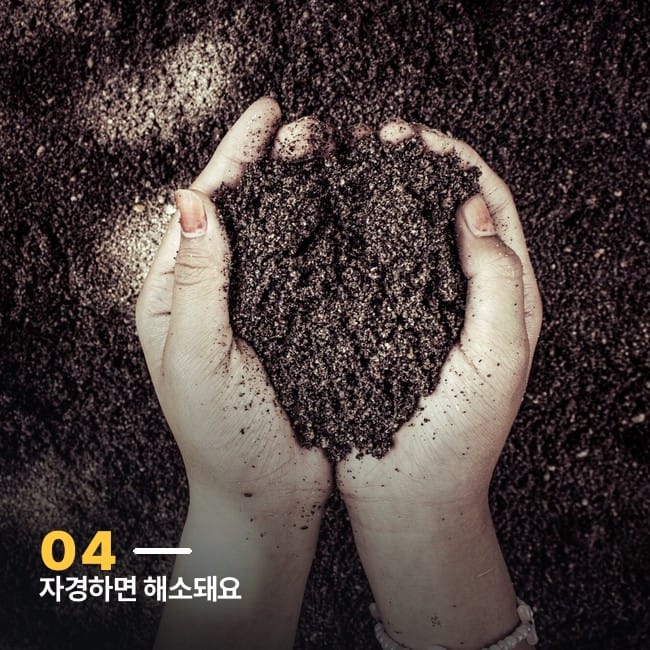 흙을 담은 두 손