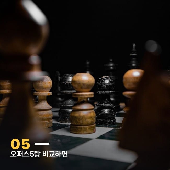 체스판 위에서 대치하고 있는 말들