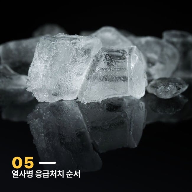 검은 배경 위에 놓인 얼음 조각들