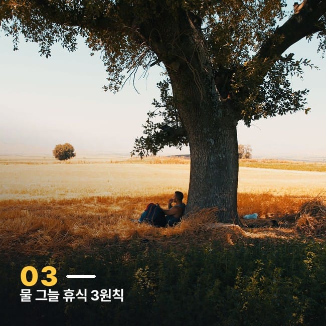 나무 그늘 아래 앉아 쉬는 사람