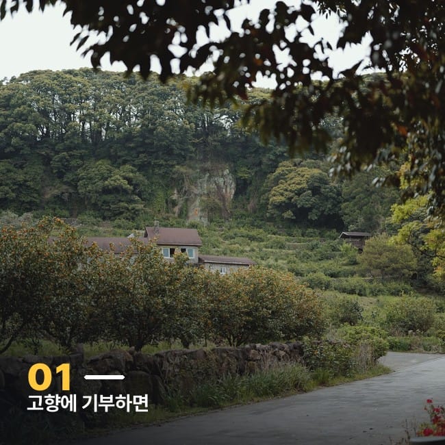 나무 사이로 보이는 시골 마을 풍경