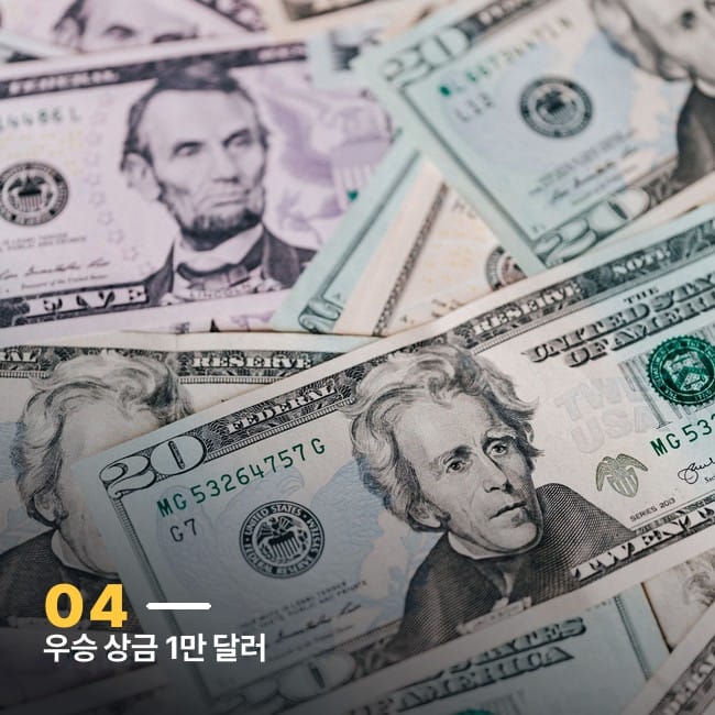 미국 달러 지폐 여러 장