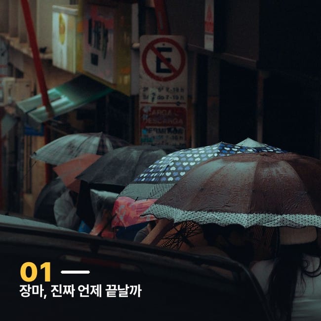 우산 쓰고 걷는 사람들