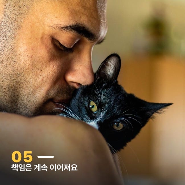 남성이 흑백 고양이를 다정하게 안고 있는 모습