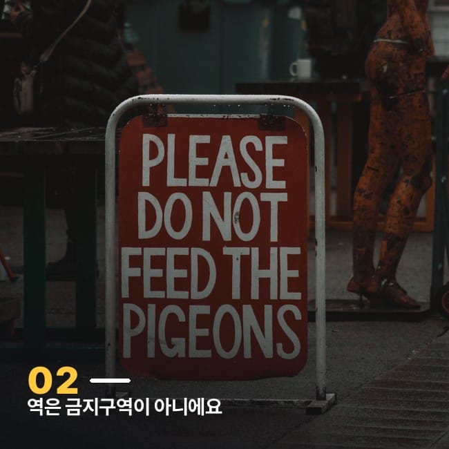 "먹이 주지 마세요" 경고 표지판