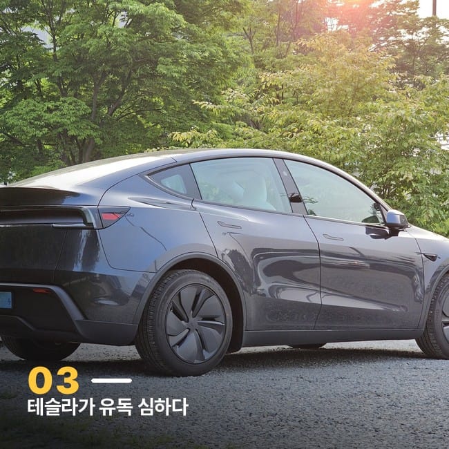 테슬라 모델Y 그레이 측후면, 야외 주차 모습