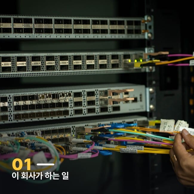 데이터센터에서 네트워크 케이블을 다루는 손 사진, 클라우드플레어가 하는 일을 상징하는 이미지
