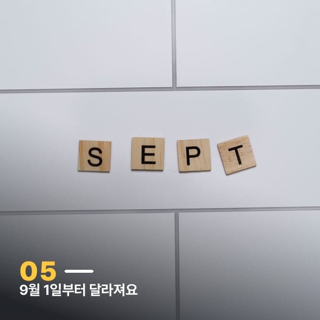 흰 타일 위 "SEPT" 나무 타일 글자