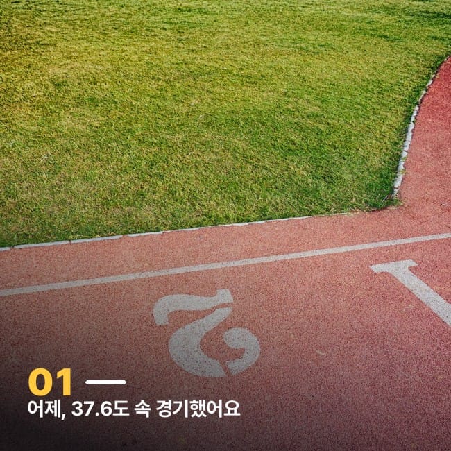 트랙 레인 클로즈업
