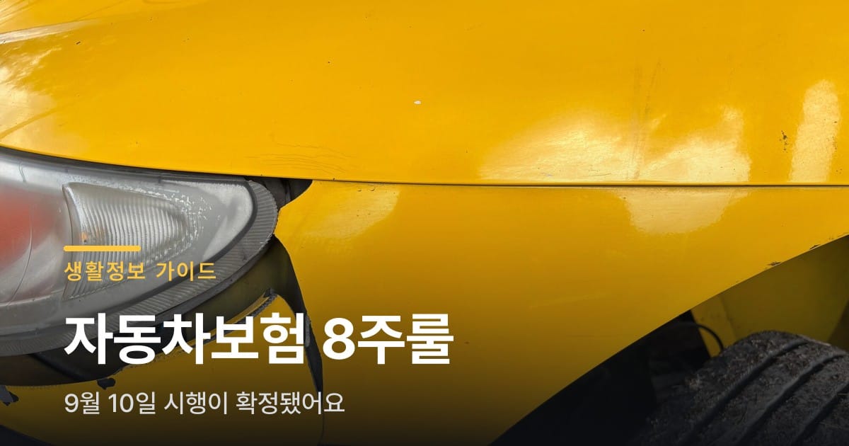 자동차보험 8주룰, 9월 10일부터 시행이 확정됐어요