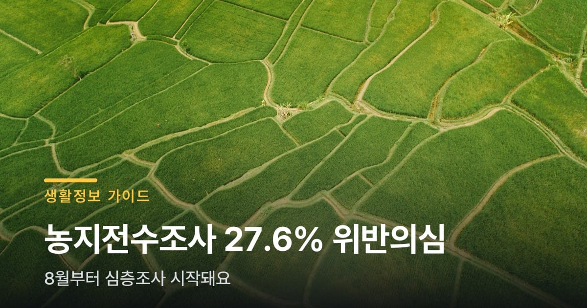 농지 4필지 중 1필지, 위반 의심으로 걸렸대요