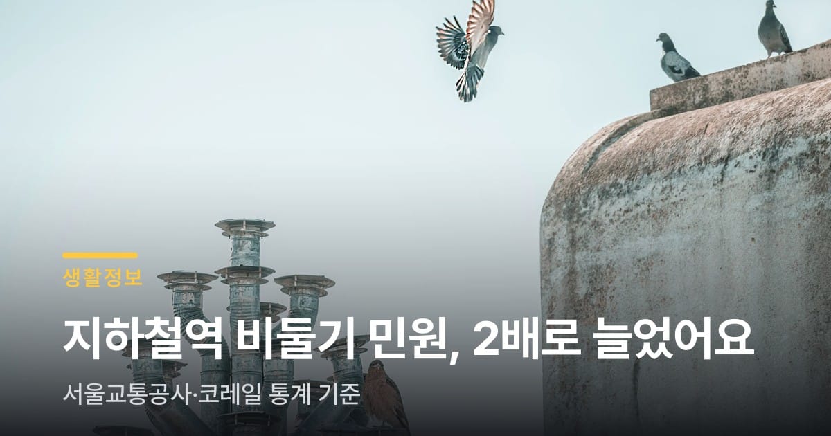 지하철역 비둘기 민원, 3년 새 2배로 늘었어요