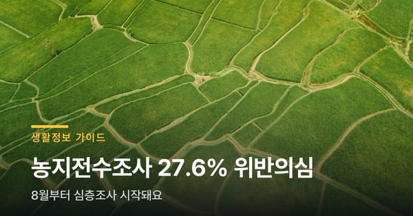 농지 4필지 중 1필지, 위반 의심으로 걸렸대요
