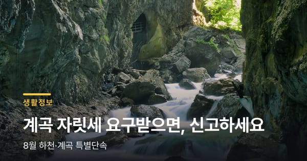 계곡 놀러 가서 자릿세 내라고 하면, 신고하세요